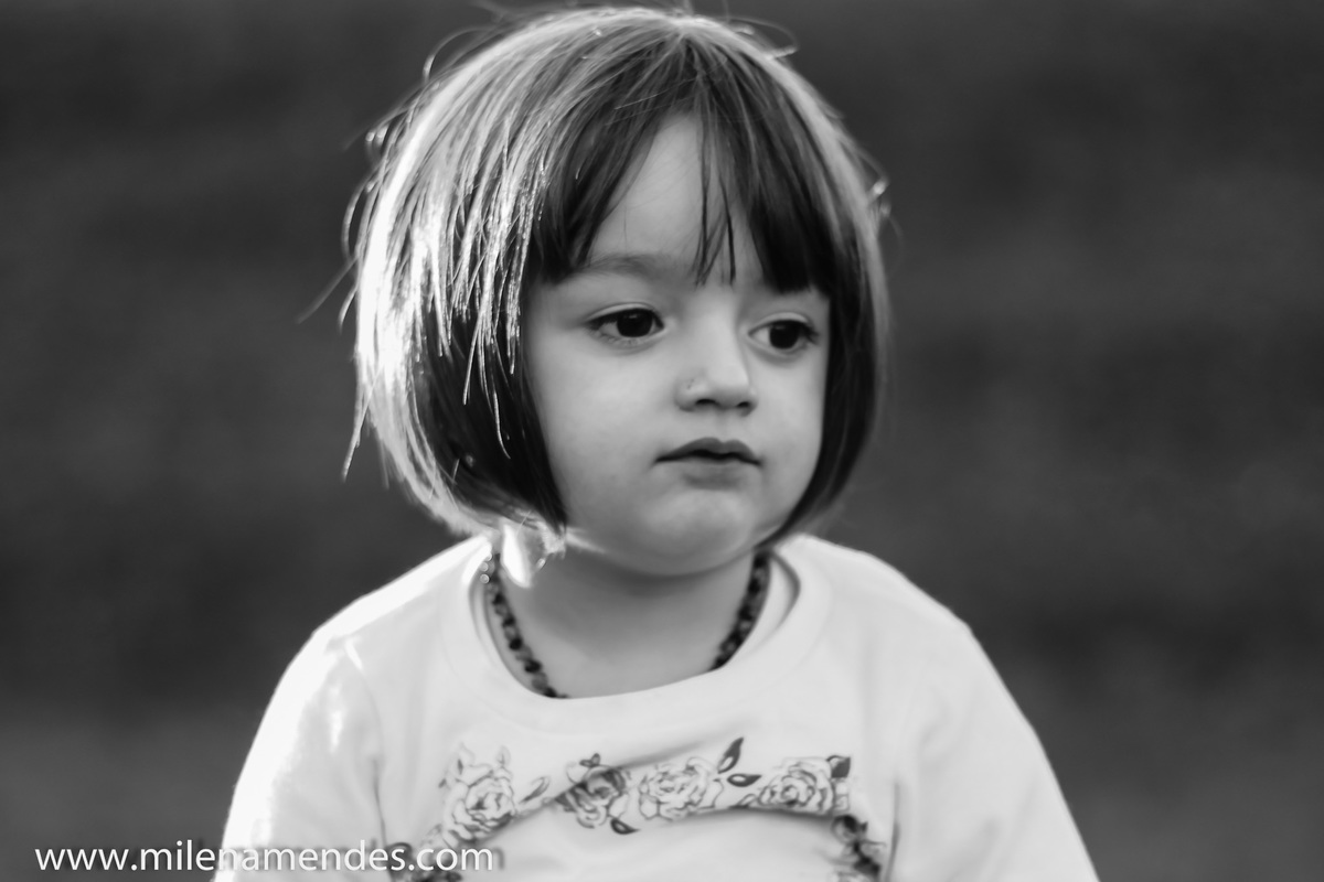 Book infantil Curitiba Milena Mendes