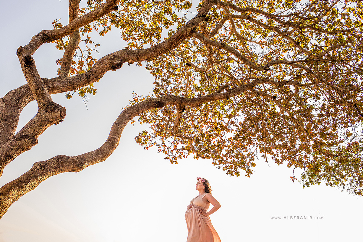 Ensaio de Gestante. Chalés dos Cajueiros. Árvores
