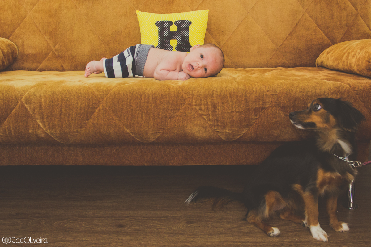 cachorra de estimação e bebê 1 mês
