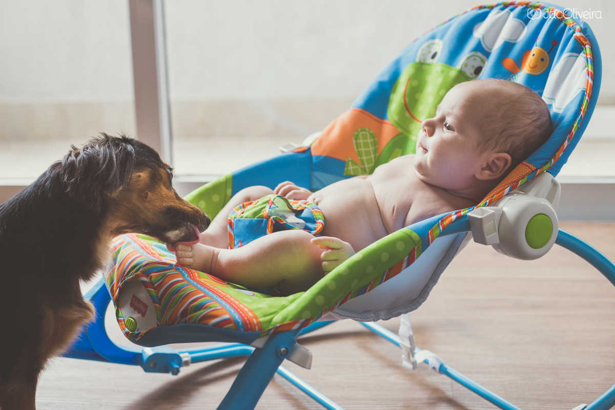 cadela e bebê na cadeira colorida