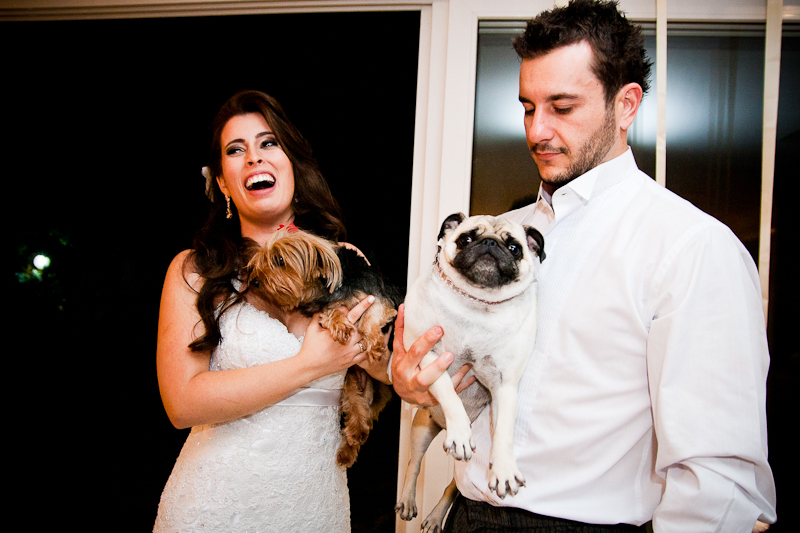 foto dos noivos com cães fotografo casamento porto alegre