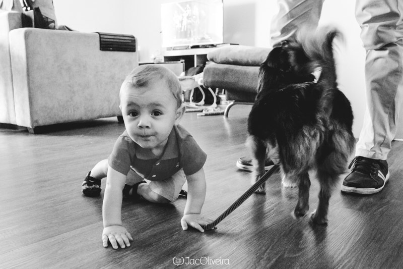 fotografo infantil porto alegre heitor com cadela na sala