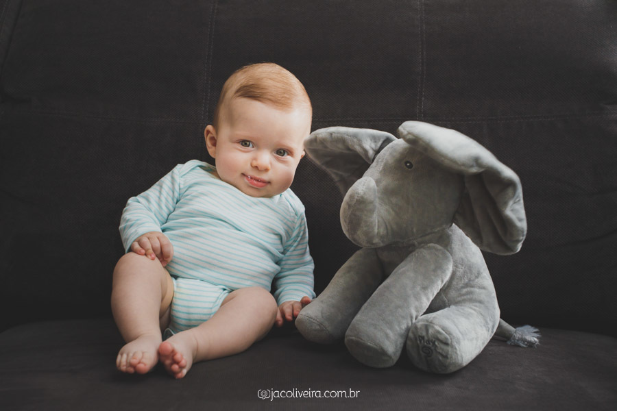 fotografia bebe 4 meses sentado ao lado de elefante porto alegre