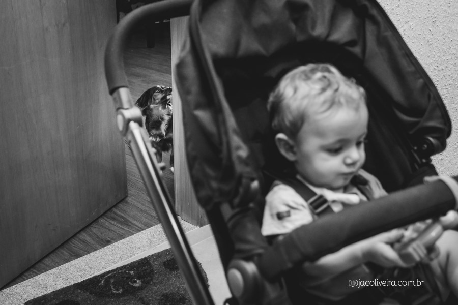 fotografo porto alegre acompanhamento bebê ensaio 9 meses heitor saindo e amora olhando