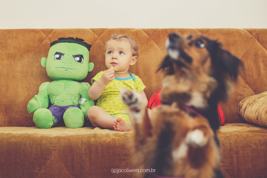 fotografo porto alegre acompanhamento mensal fotos em casa heitor 10 meses com cachorro