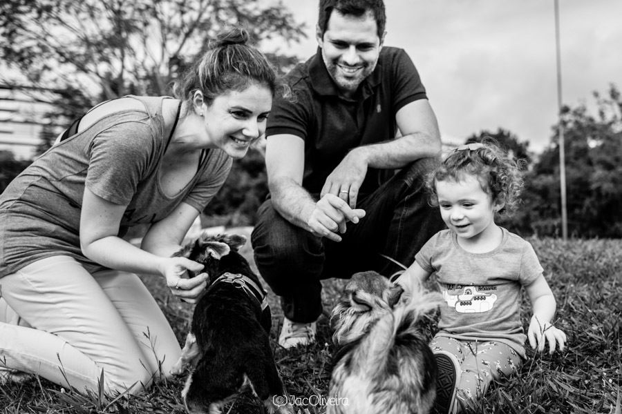 familia e cães em ensaio fotográfico parque germania porto alegre