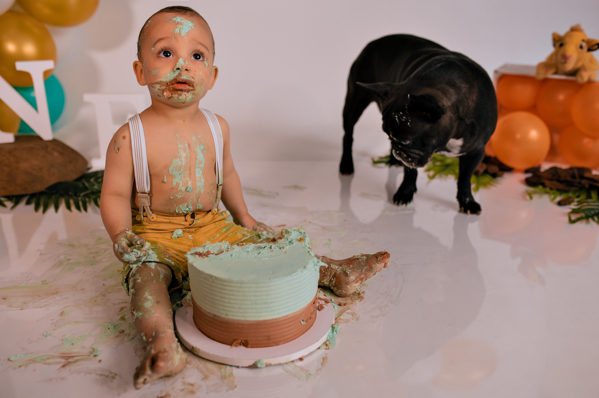 Smash The Cake - Lucas
