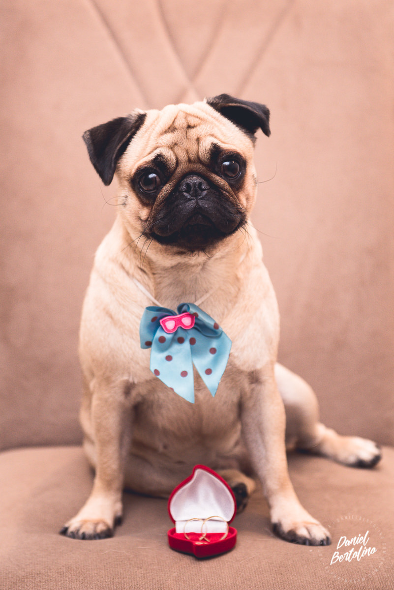 casamento-barra-bonita-igreja-matriz-são-josé-ideal-ponte-preta-olivatto