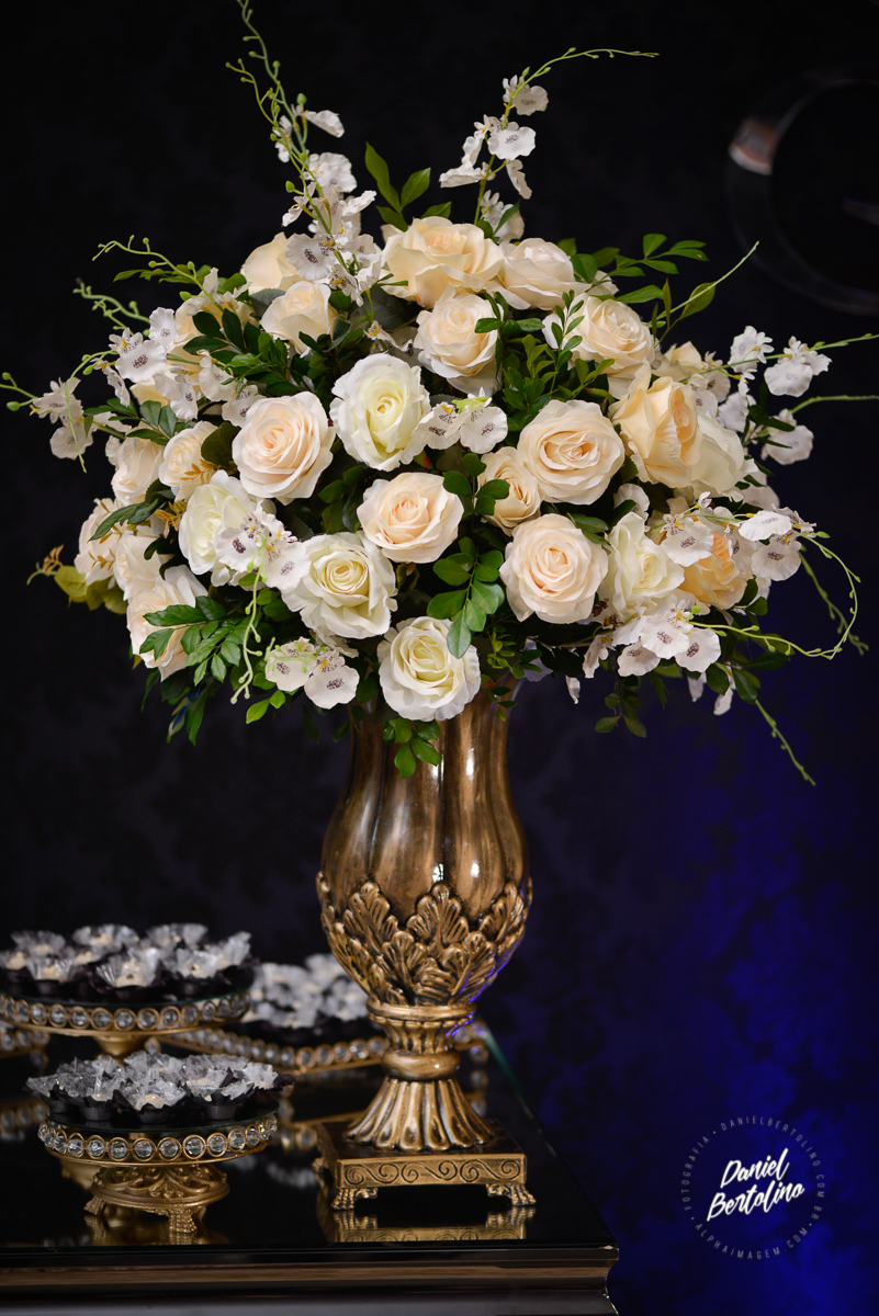 fotos-debutante-sara-honorato-barra-bonita-sp