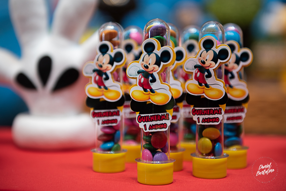 aniversário-zoe-jaú-fotografia-barra-bonita-familia-batistela