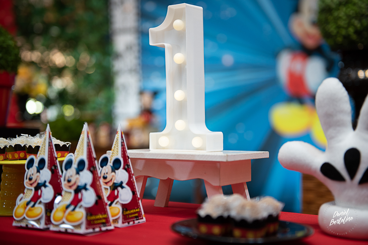 aniversário-zoe-jaú-fotografia-barra-bonita-familia-batistela