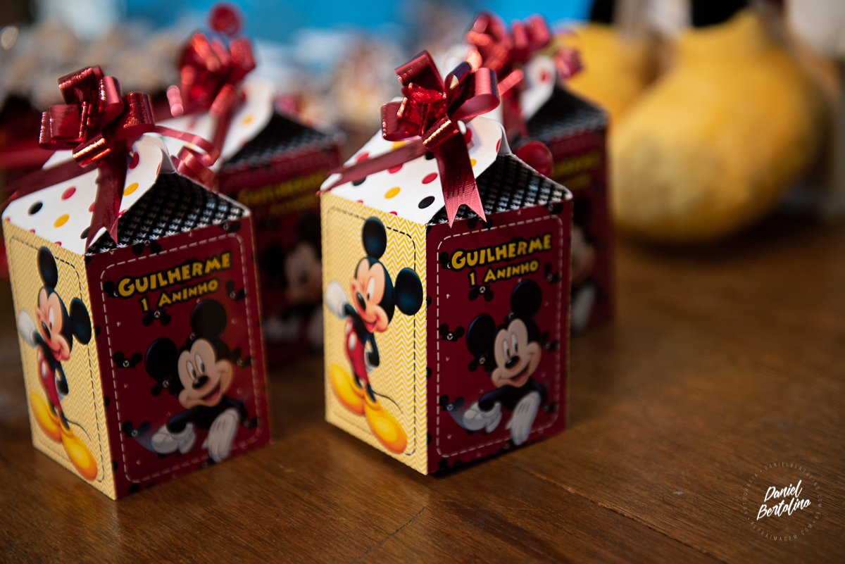 aniversário-zoe-jaú-fotografia-barra-bonita-familia-batistela