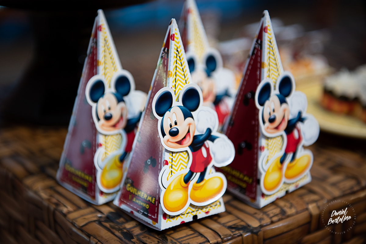 aniversário-zoe-jaú-fotografia-barra-bonita-familia-batistela