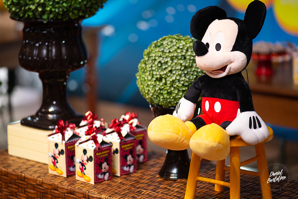 aniversário-zoe-jaú-fotografia-barra-bonita-familia-batistela