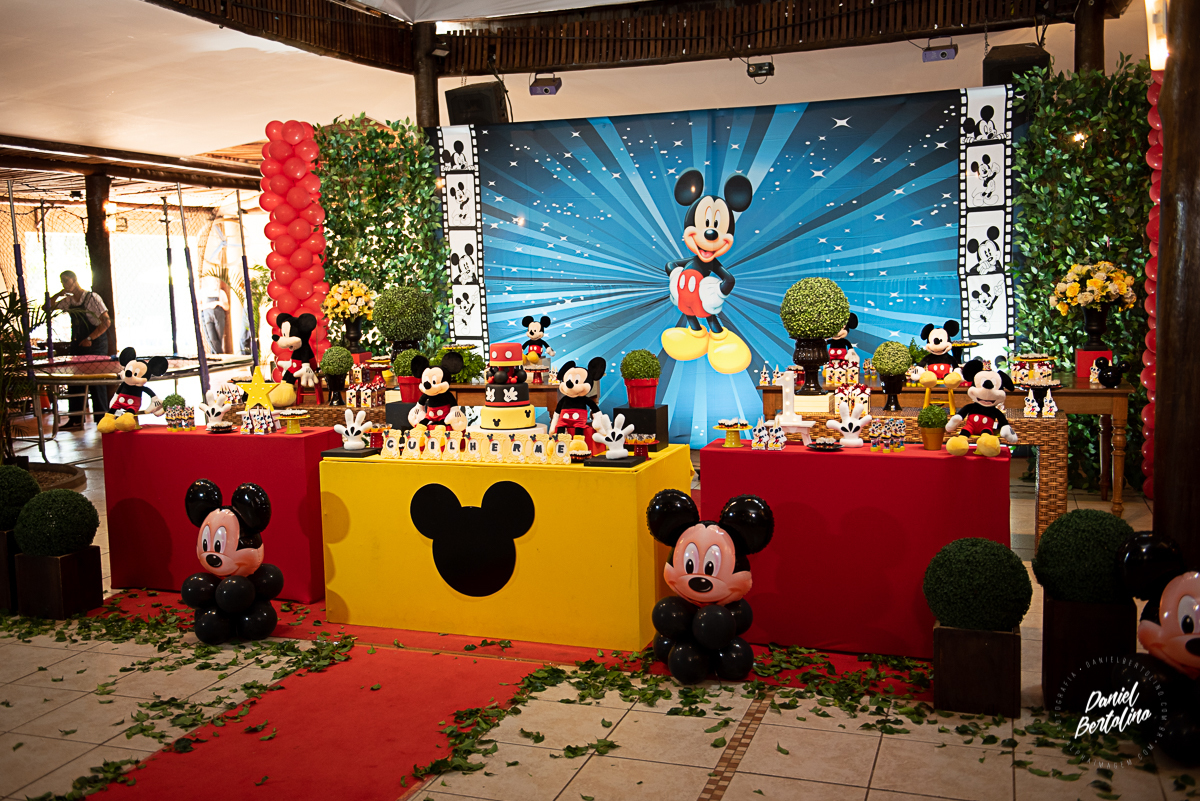 aniversário-zoe-jaú-fotografia-barra-bonita-familia-batistela