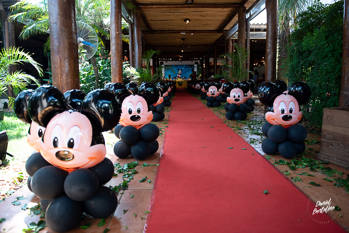 aniversário-zoe-jaú-fotografia-barra-bonita-familia-batistela