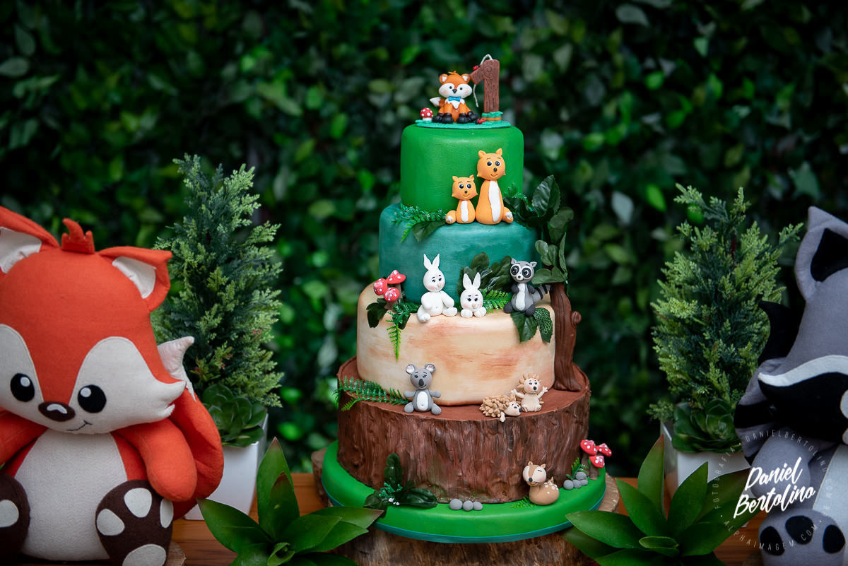 Aniversário de 1 aninho de Lucas, com a alegria dos familiares e papais a festa foi realizada no Silvia Fest em Barra Bonita.