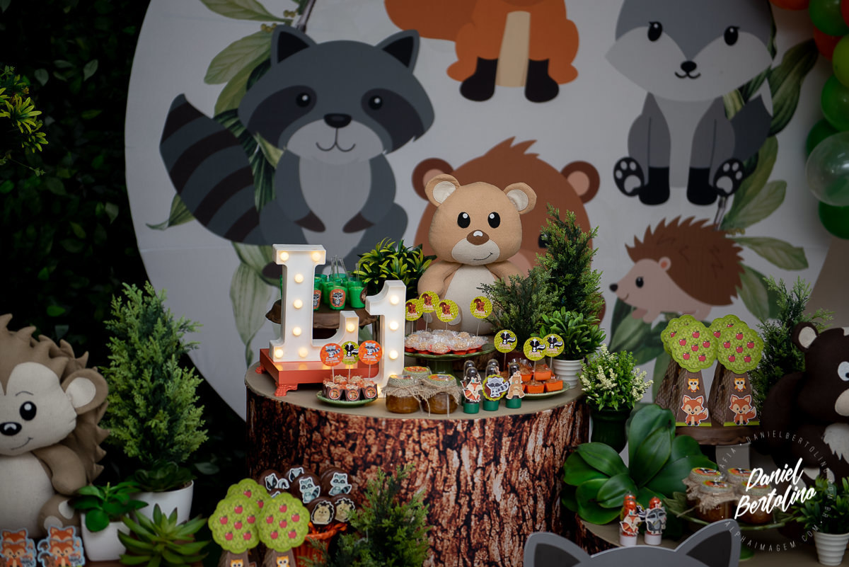 Aniversário de 1 aninho de Lucas, com a alegria dos familiares e papais a festa foi realizada no Silvia Fest em Barra Bonita.