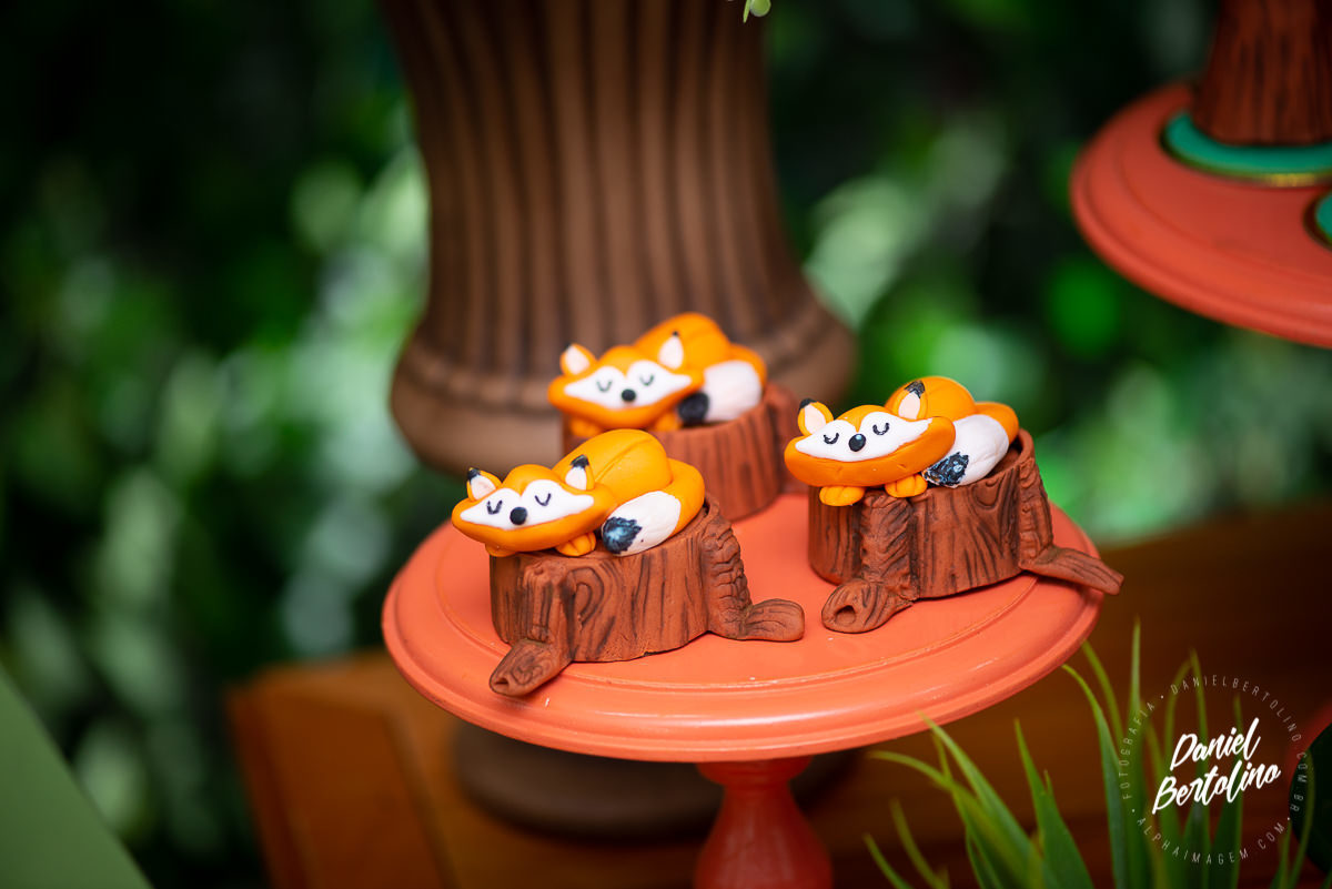 Aniversário de 1 aninho de Lucas, com a alegria dos familiares e papais a festa foi realizada no Silvia Fest em Barra Bonita.