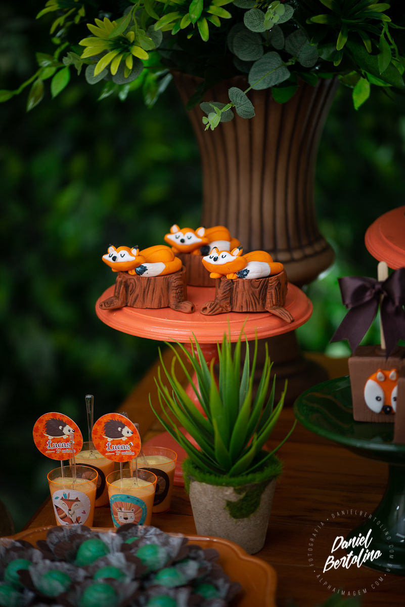 Aniversário de 1 aninho de Lucas, com a alegria dos familiares e papais a festa foi realizada no Silvia Fest em Barra Bonita.