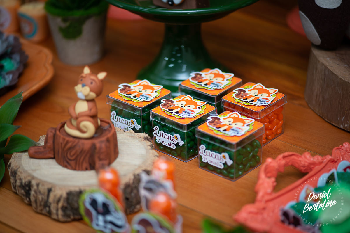 Aniversário de 1 aninho de Lucas, com a alegria dos familiares e papais a festa foi realizada no Silvia Fest em Barra Bonita.