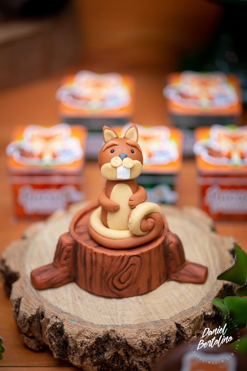 Aniversário de 1 aninho de Lucas, com a alegria dos familiares e papais a festa foi realizada no Silvia Fest em Barra Bonita.