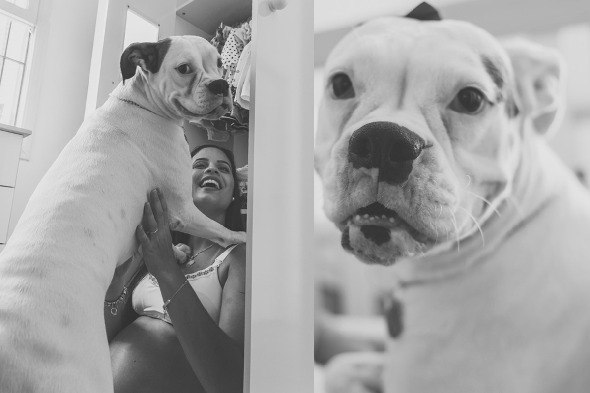 fotografo-em-santos-pet-friendly-ensaio-gestante-servo