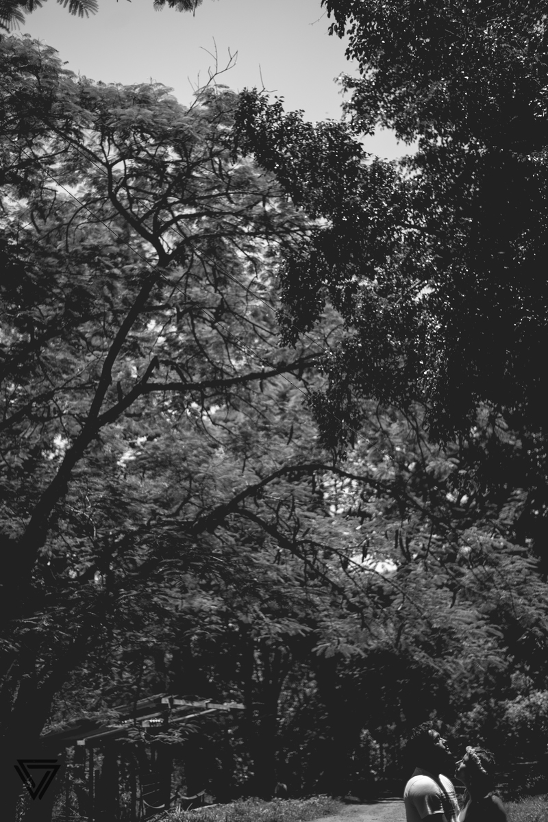 #fotografia #photographer #photos #nikon #nikon_brasil  #art #melophotos #instaphoto #instagram #instagood #me #follow #like #photooftheday #followme #tagsforlikes #beautiful #picoftheday #instadaily #like4like #fashion #instalike #amazing #Bestoftheday #