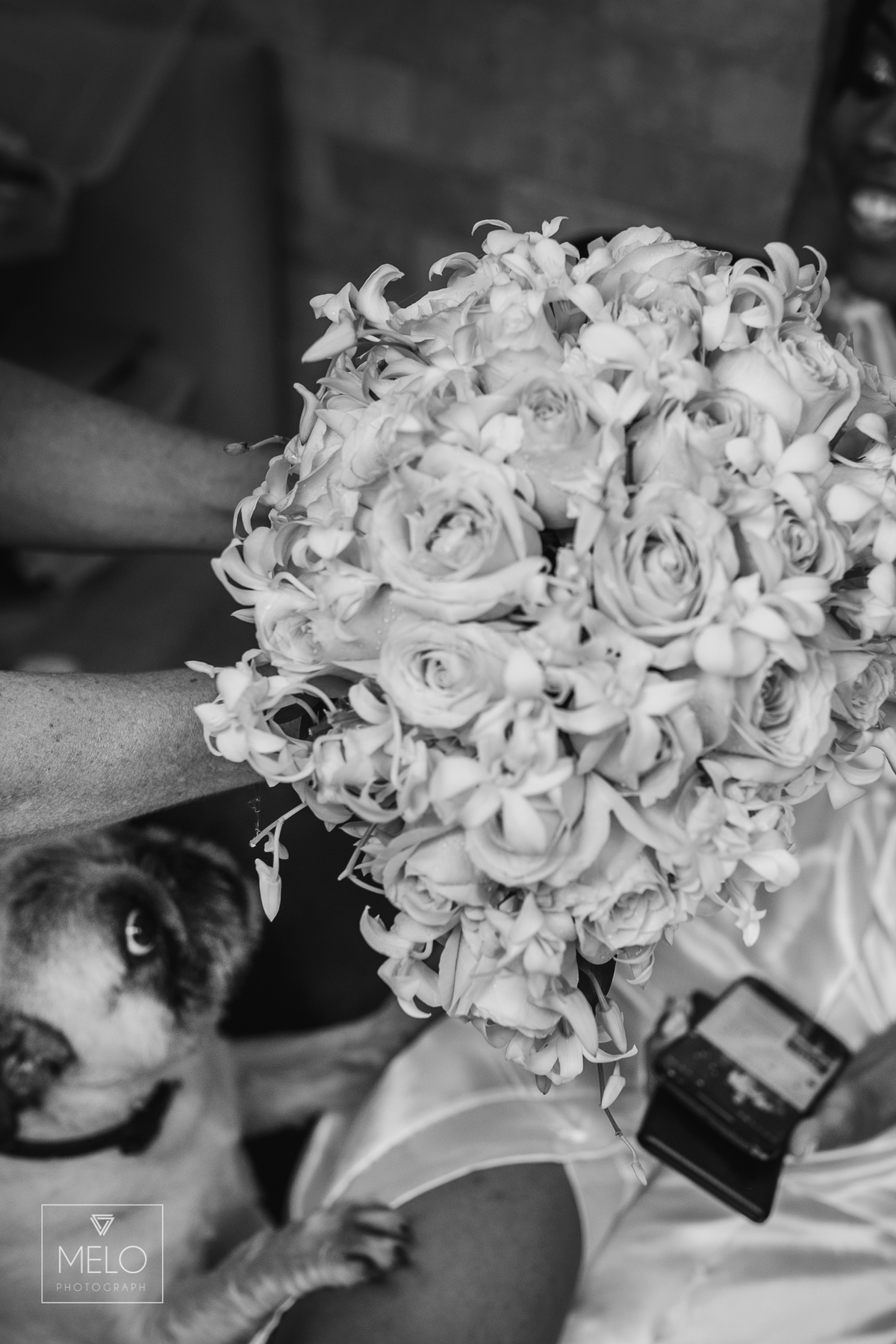 #Wedding #Love #Casamento #Noiva #Noivo #Natureza #Casamentoaoarlivre #VoltaRedonda #FazendaUniao #Cerimonia #Happy #Daminhas #Pagen #Buque 