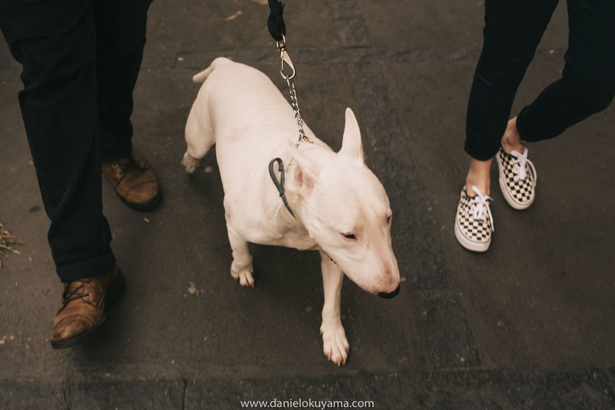 otografiadecasamentoemsantos,Casamentoemsantos,casamentonapraia,fotografoemsaopaulo,casamentonocampo,casamentorustico,fotografodecasamento,danielokuyama,fotogradodecasamentoemsantos,fotografopremiado,fotografialifestyle,melhorfotografodecasamento