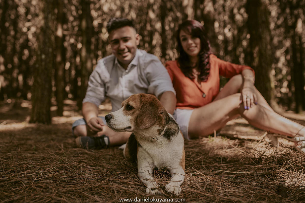 fotografodecasamentoemsaopaulo,ensaiopet,ensaioprewedding,ensaiofotografico,fotografodecasamentoemsantos,ensaiocomcachorro,fotografodecasamentopremiadoemsaopaulo,danielokuyamafotografia,casamentocachorrolevandoalianca
