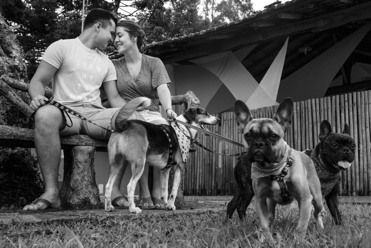ensaiopet, fotógrafo de casamento em São Paulo, Fotógrafo de casamento em Santos, ensaio com cachorro, fotografia de casamento diferente, fotos espontâneas de casamento, fotógrafo premiado em São Paulo