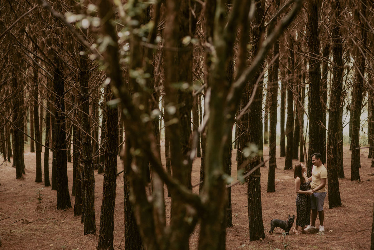 ensaiopet, fotógrafo de casamento em São Paulo, Fotógrafo de casamento em Santos, ensaio com cachorro, fotografia de casamento diferente, fotos espontâneas de casamento, fotógrafo premiado em São Paulo