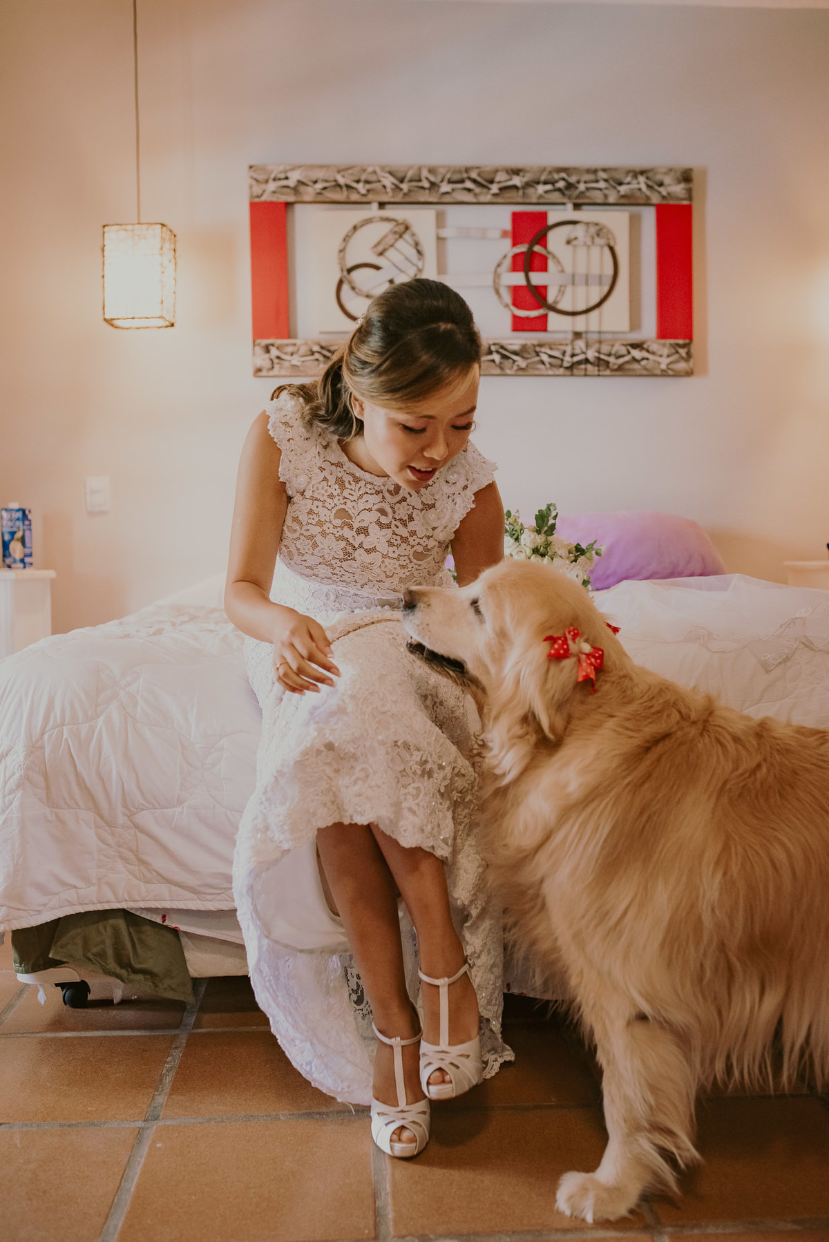 cachorro no casamento e lindo o golden retriver leva as alianças