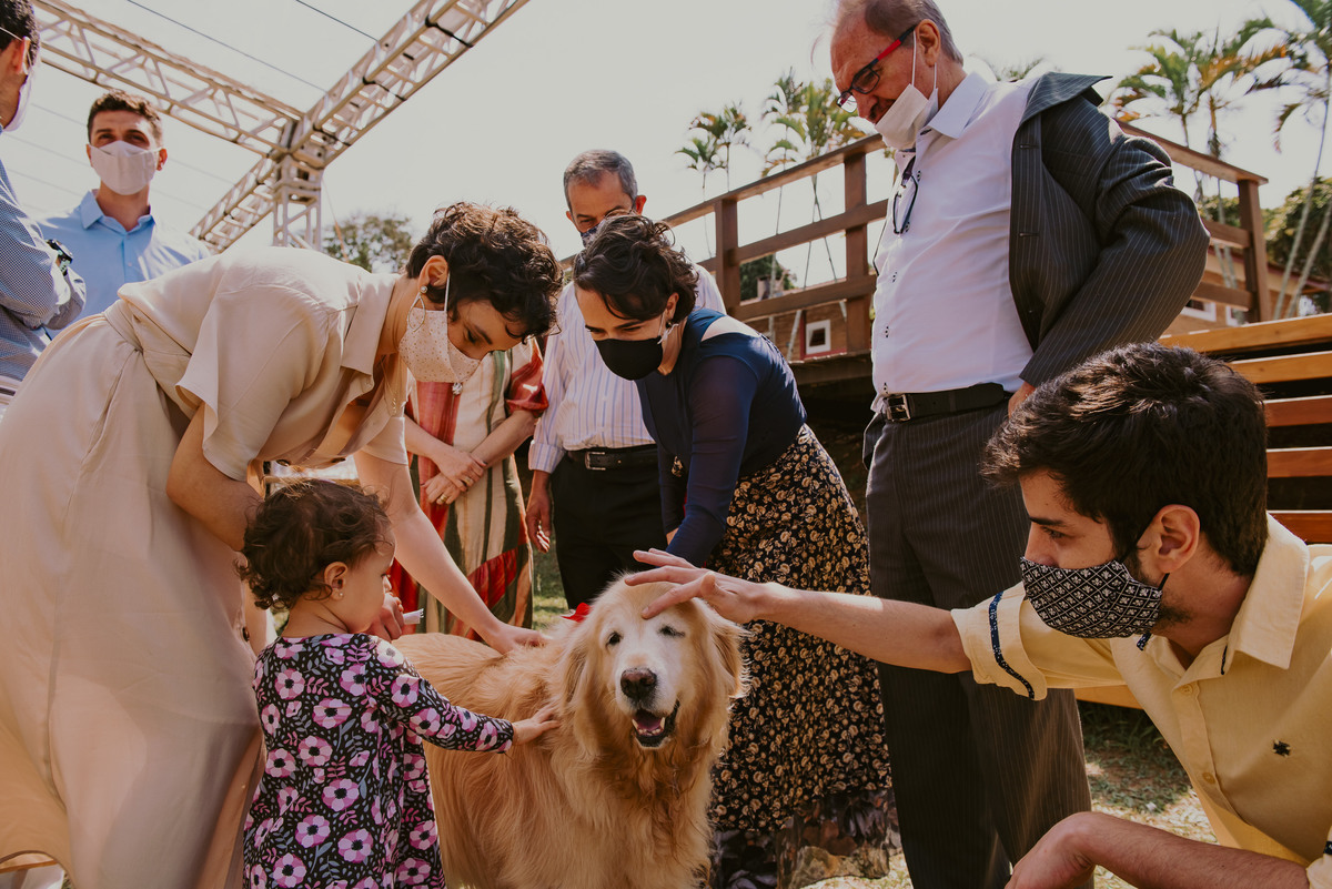 que lindo cachorro no casamento ganha muito carinho 