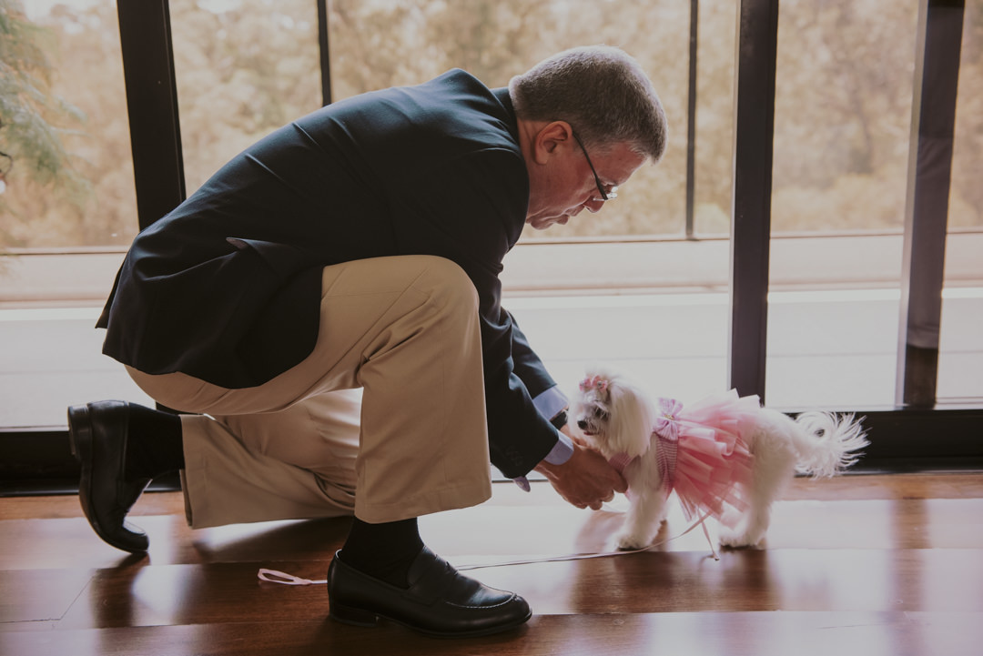 cachorro no casamento, fotografia de casamento sp melhor fotografo daniel okuyama