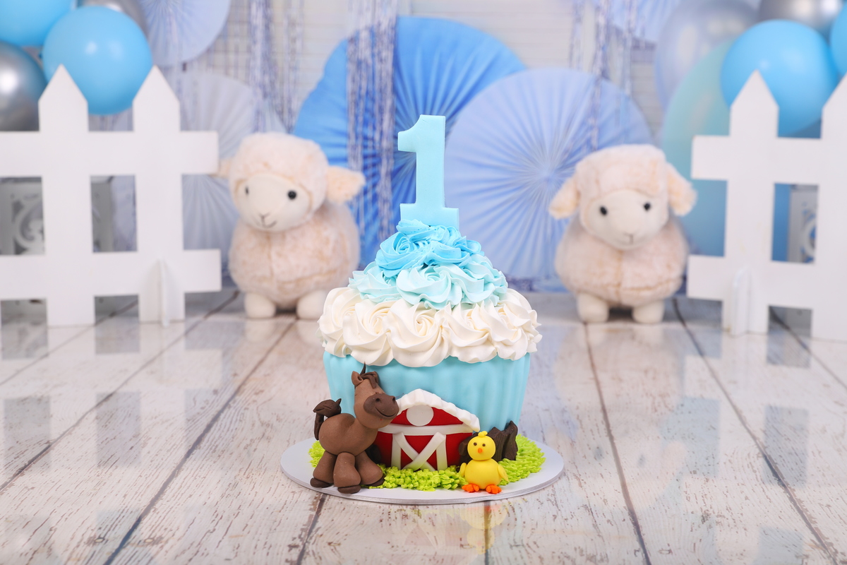 smash the cake menino fazendinha curitiba