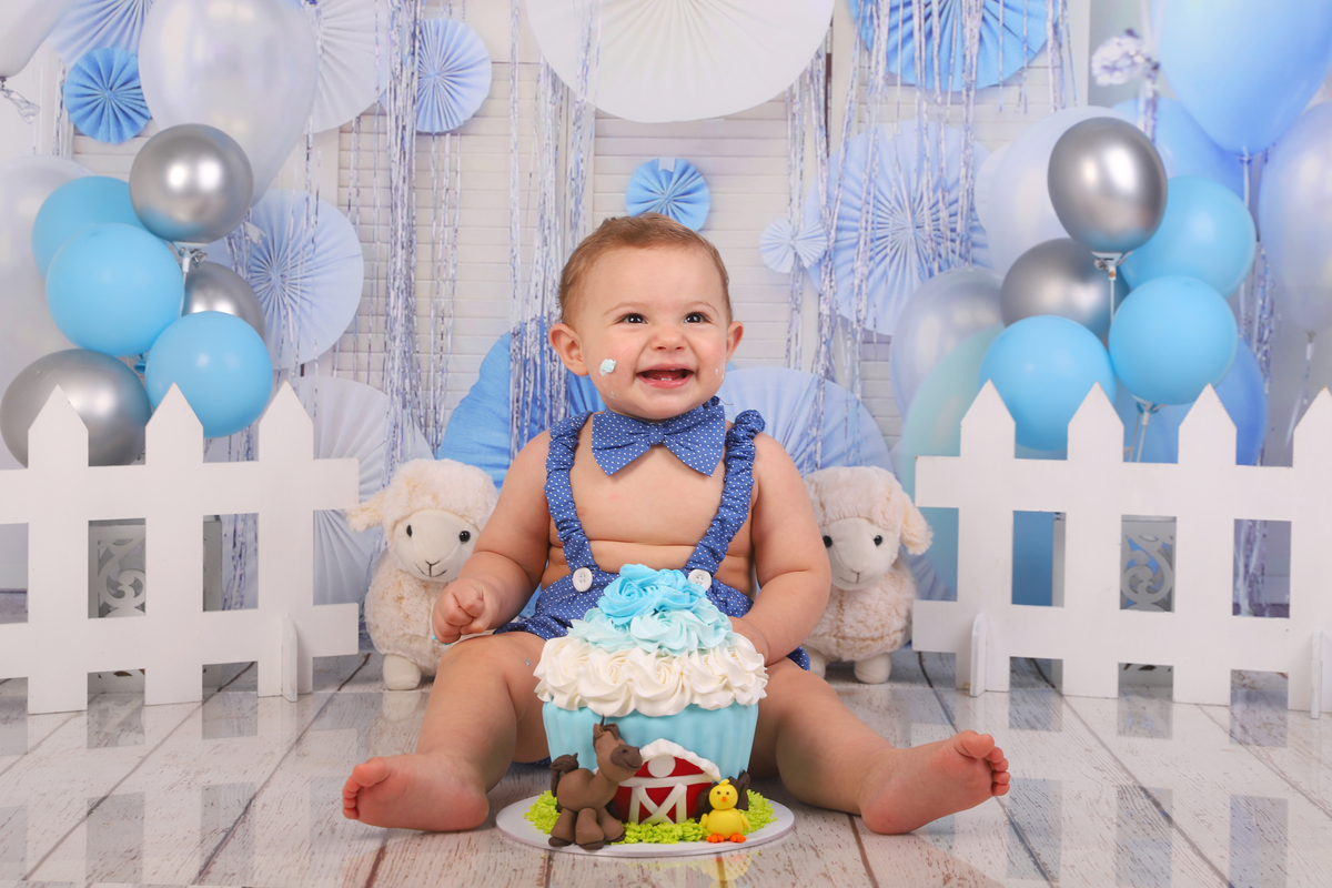 smash the cake menino fazendinha curitiba