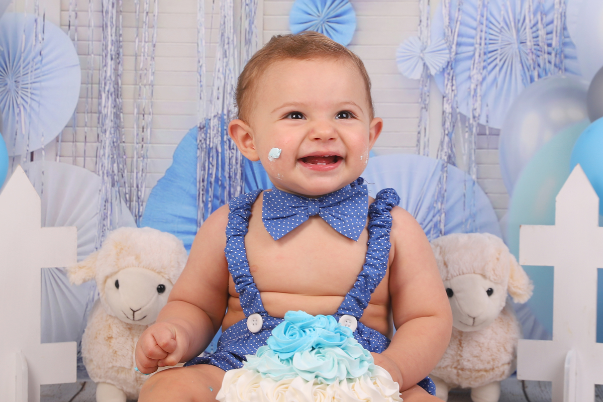 smash the cake menino fazendinha curitiba