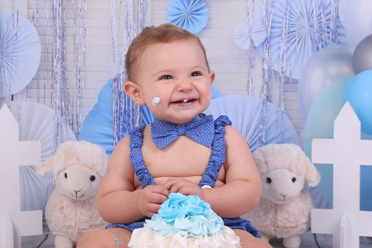 smash the cake menino fazendinha curitiba