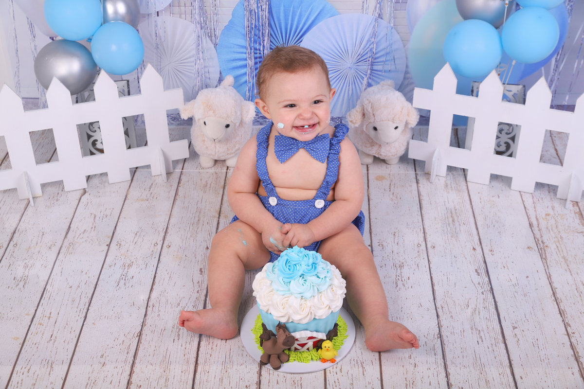 smash the cake menino fazendinha curitiba