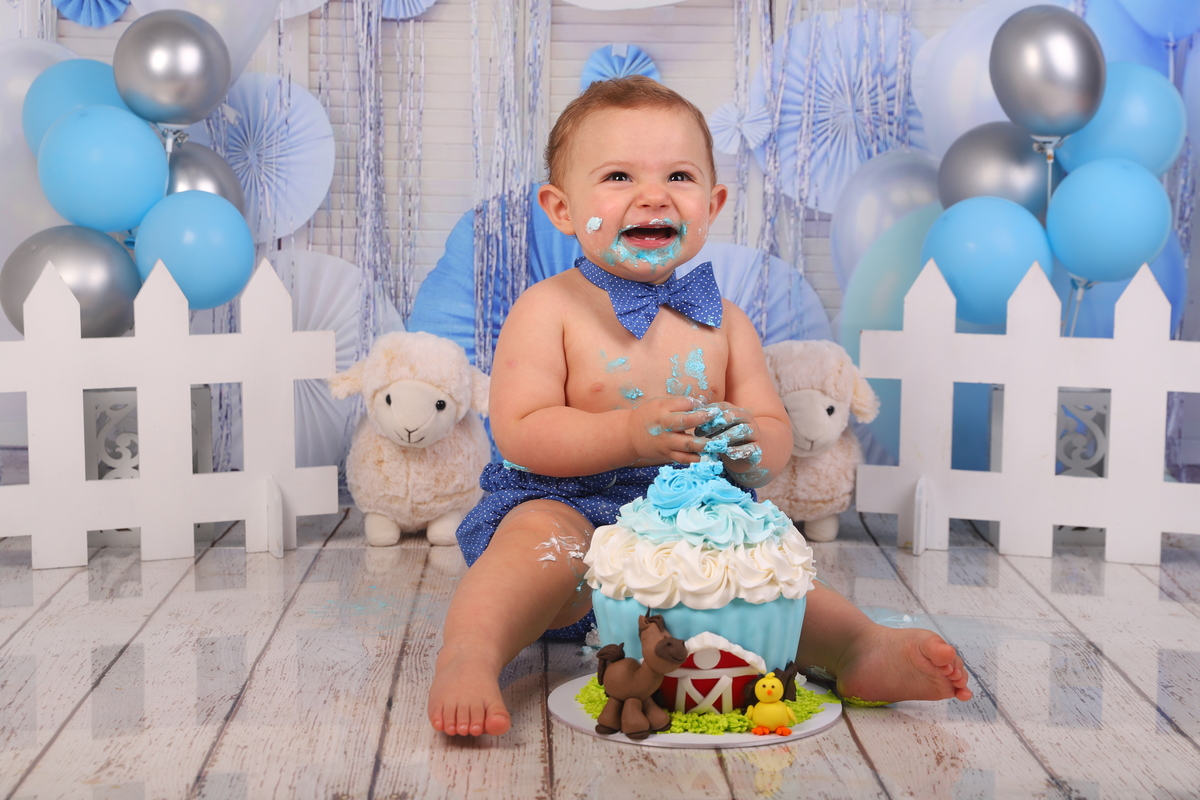 smash the cake menino fazendinha curitiba