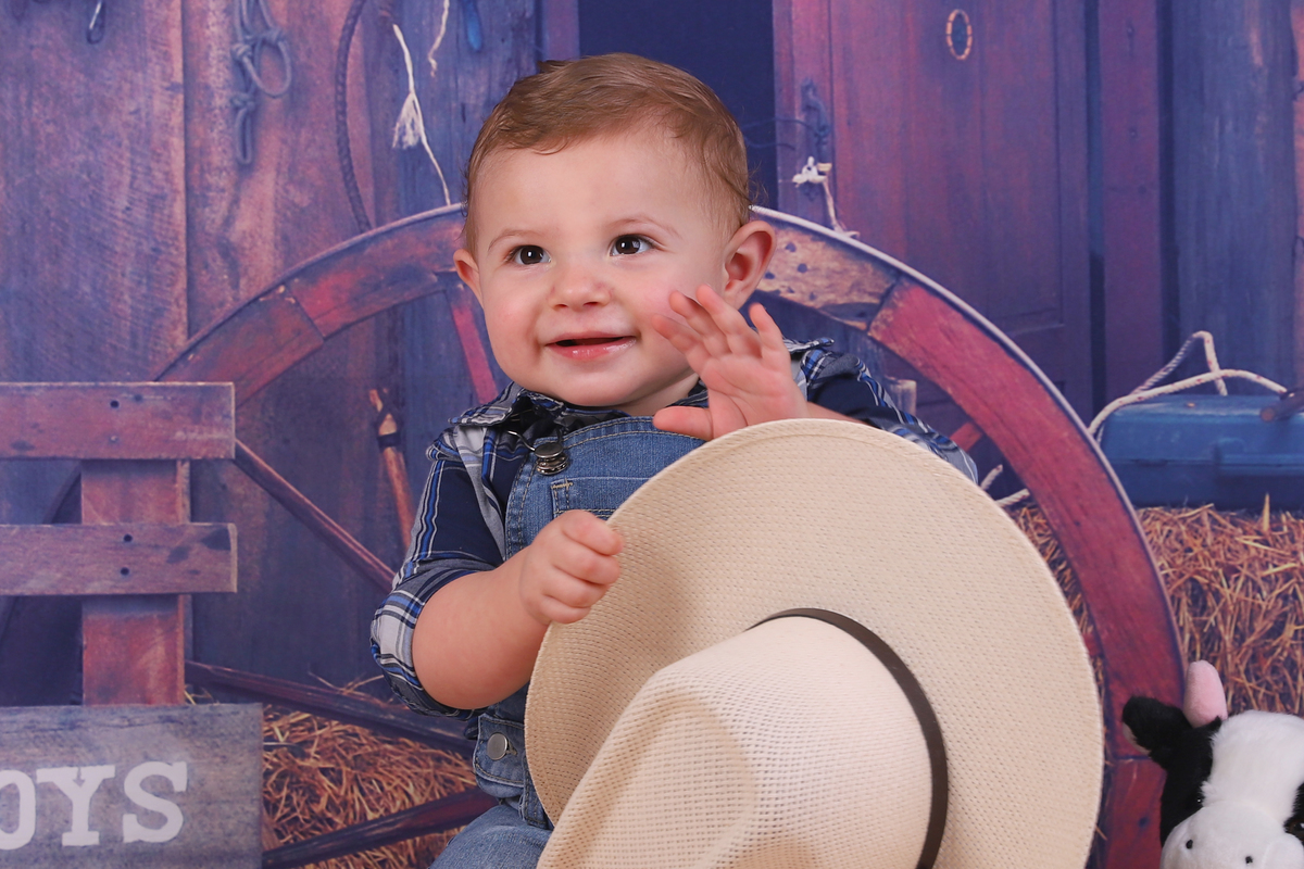 smash the cake menino fazendinha curitiba