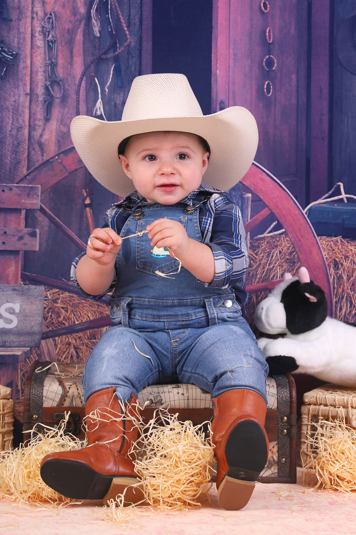 smash the cake menino fazendinha curitiba