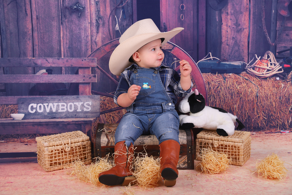 smash the cake menino fazendinha curitiba