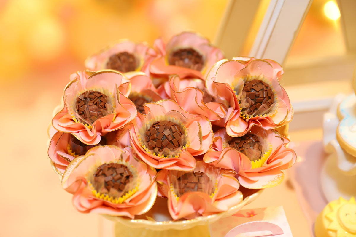 fotografia festa infantil curitiba