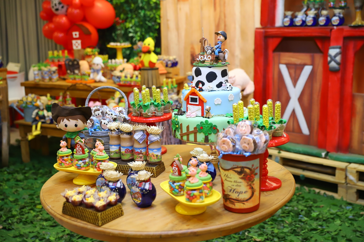 fotografia festa infantil decoração fazendinha aniversário curitiba menino 1 ano buffet 4 kids