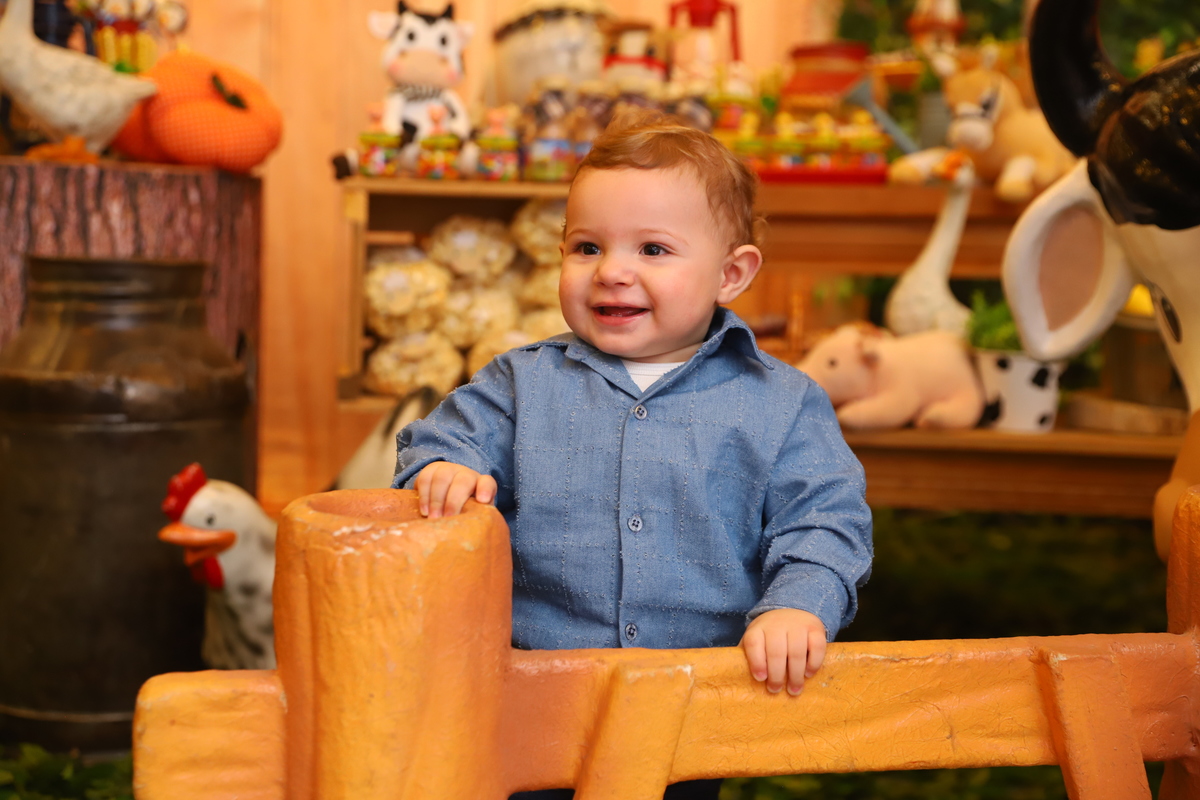 fotografia festa infantil decoração fazendinha aniversário curitiba menino 1 ano buffet 4 kids