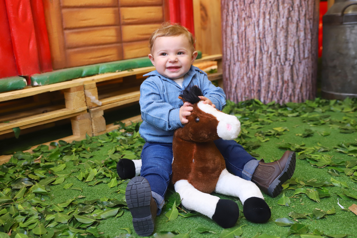 fotografia festa infantil decoração fazendinha aniversário curitiba menino 1 ano buffet 4 kids