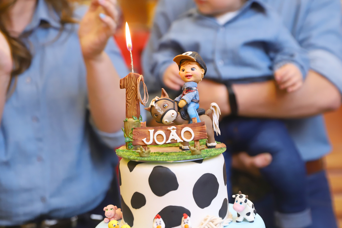 fotografia festa infantil decoração fazendinha aniversário curitiba menino 1 ano buffet 4 kids